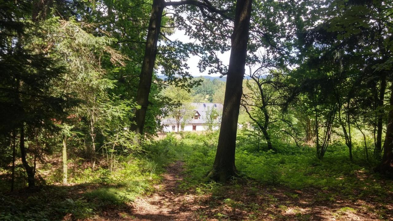 Pokoje Goscinne Art- Dworek Kudowa-Zdrój Exterior foto