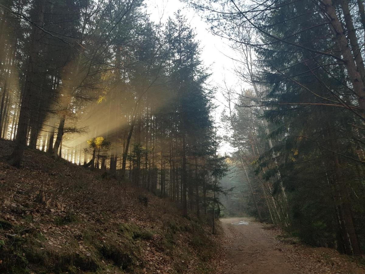 Pokoje Goscinne Art- Dworek Kudowa-Zdrój Exterior foto