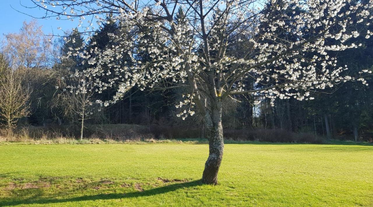 Pokoje Goscinne Art- Dworek Kudowa-Zdrój Exterior foto