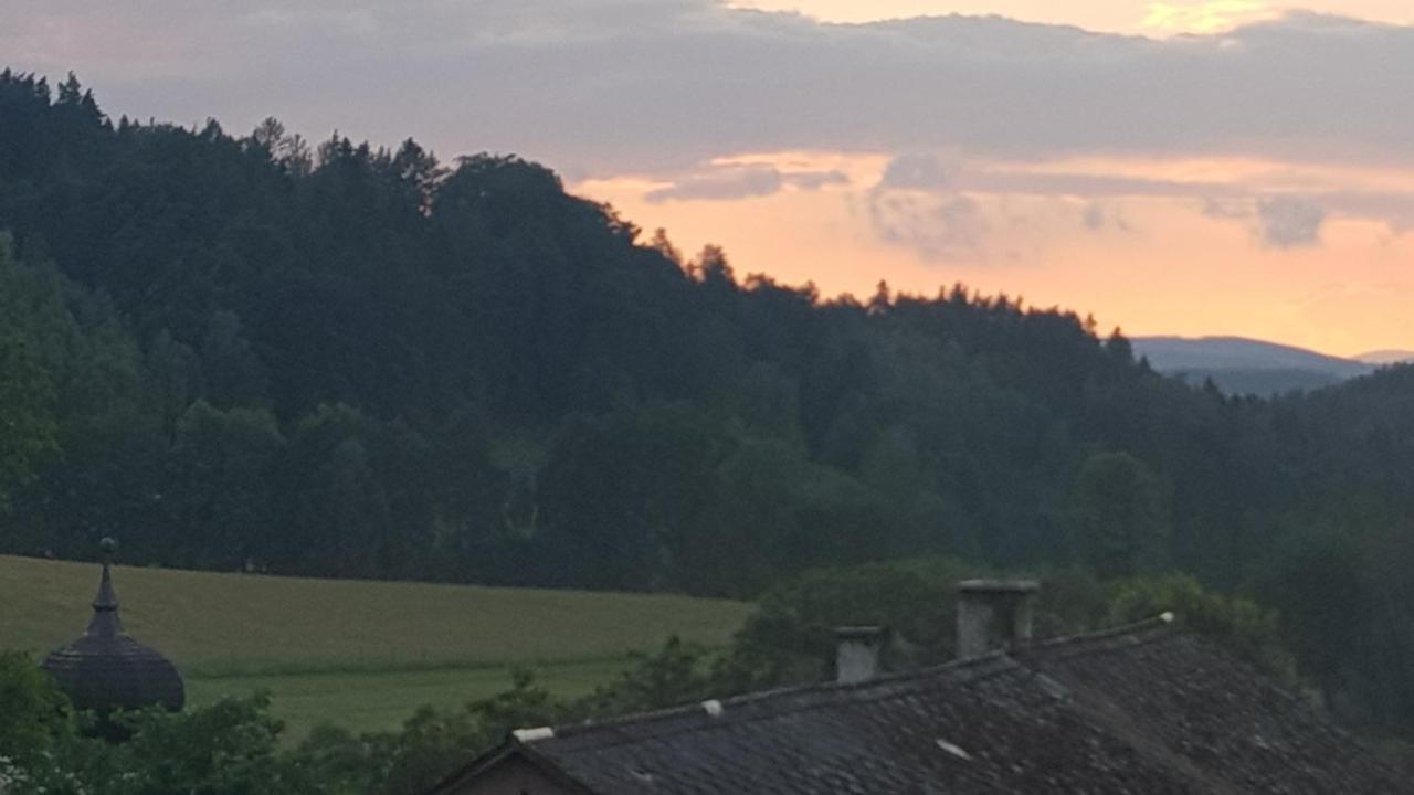 Pokoje Goscinne Art- Dworek Kudowa-Zdrój Exterior foto